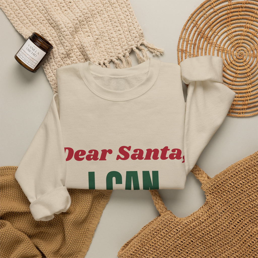 Dear Santa I Can Explain funny naughty list christmas sweatshirt design by Blackstar Creative, view 9
